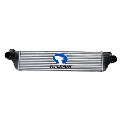 适用于VAUXHALL MOVANO Mk II   (B) VAN 10-/NV400 Box 11-/MOVANO B Box 10-/MASTER III Box (FV) 10- 中冷器