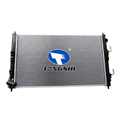 适用于 欧蓝德 '08 AT 散热器 