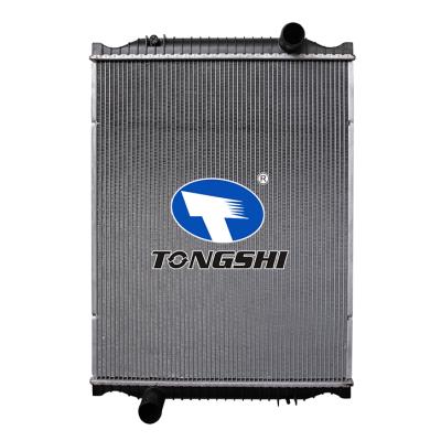 适用于MIDLUM 270.12/C 6.1L 00-01 MT散热器