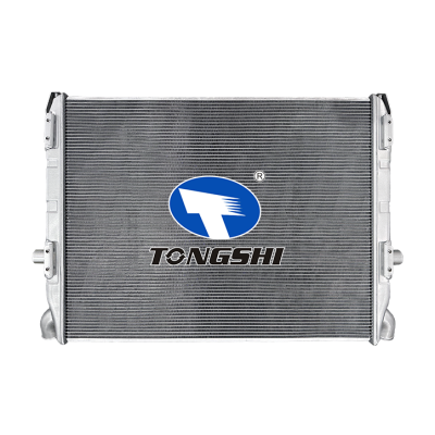 适用于SCANIA 3-SERIES T 113