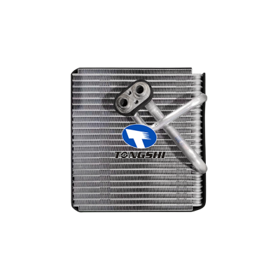 适用于  现代伊兰特 WT 2008  蒸发器