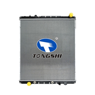 适用于FREIGHTLINER CASSADIA 125 L6 12.8L 09-12 AT重卡散热器
