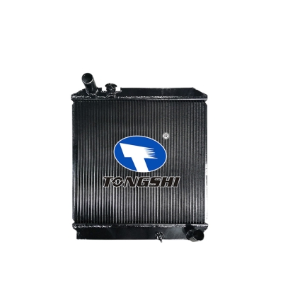 适用于ISUZU ELT 00- MT散热器