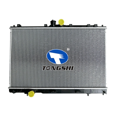 适用于OUTLANDER'03-05 MT散热器