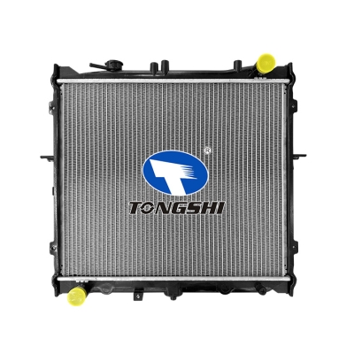 适用于狮跑 2.0i16V 98- MT 散热器