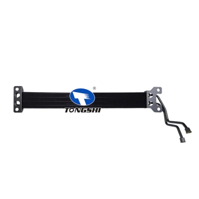 适用于 肯沃思(Kenworth)彼得比尔特(Peterbilt) 油散