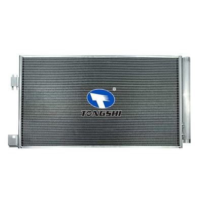 适用于 Express 2021- 冷凝器