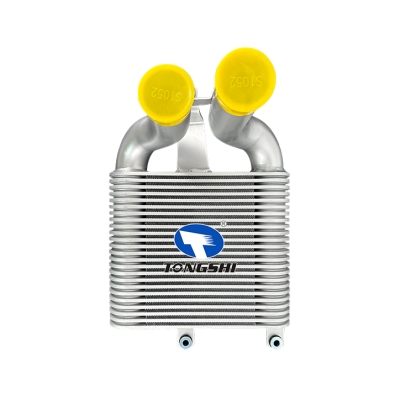 适用于五十铃 DMAX MT中冷器