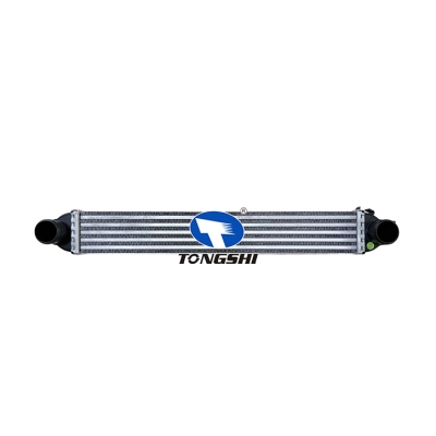 适用于  NEMO Box (AA_) 08-  FIORINO Box Body/  Estate (225) 07-  BIPPER (AA_) 08-   中冷器