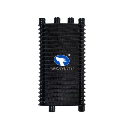适用于  FT 凯迪拉克 XLR 06-09  油散